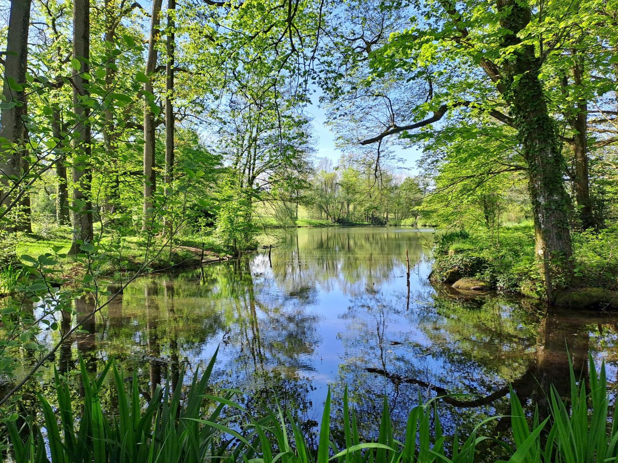 Willa Domaine Des Roches Blanches Le Pin  Zewnętrze zdjęcie