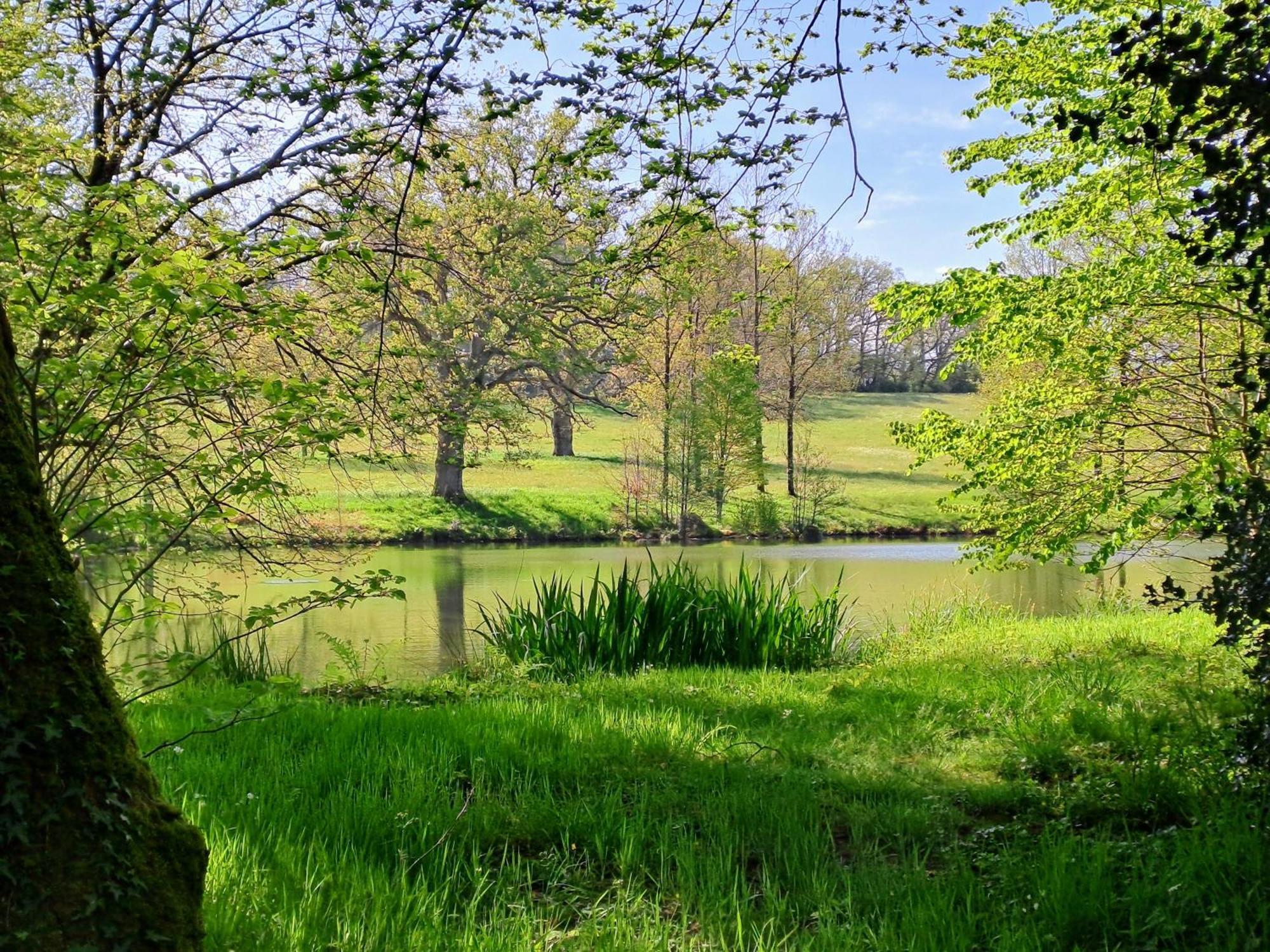 Willa Domaine Des Roches Blanches Le Pin  Zewnętrze zdjęcie