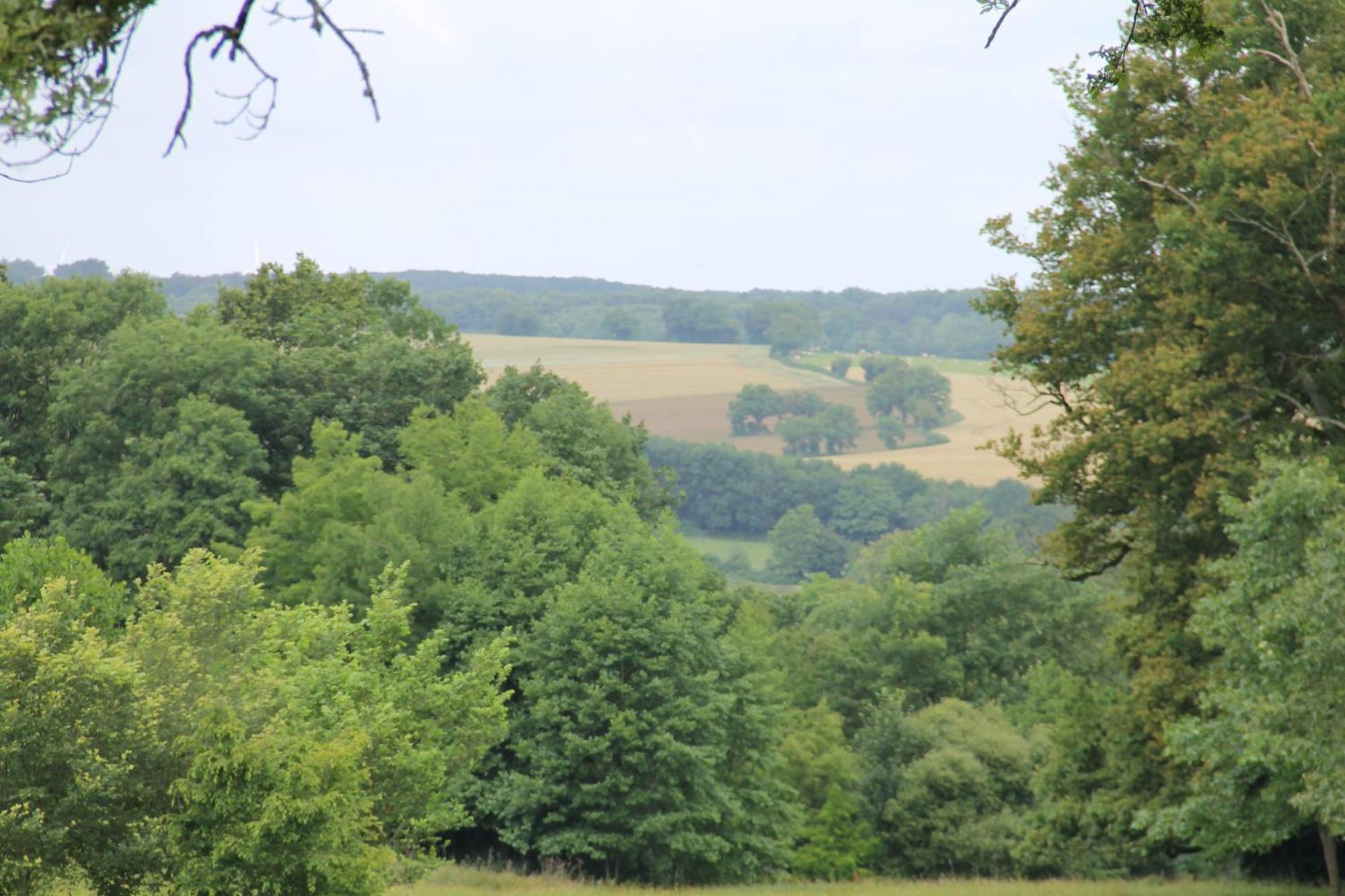 Willa Domaine Des Roches Blanches Le Pin  Zewnętrze zdjęcie