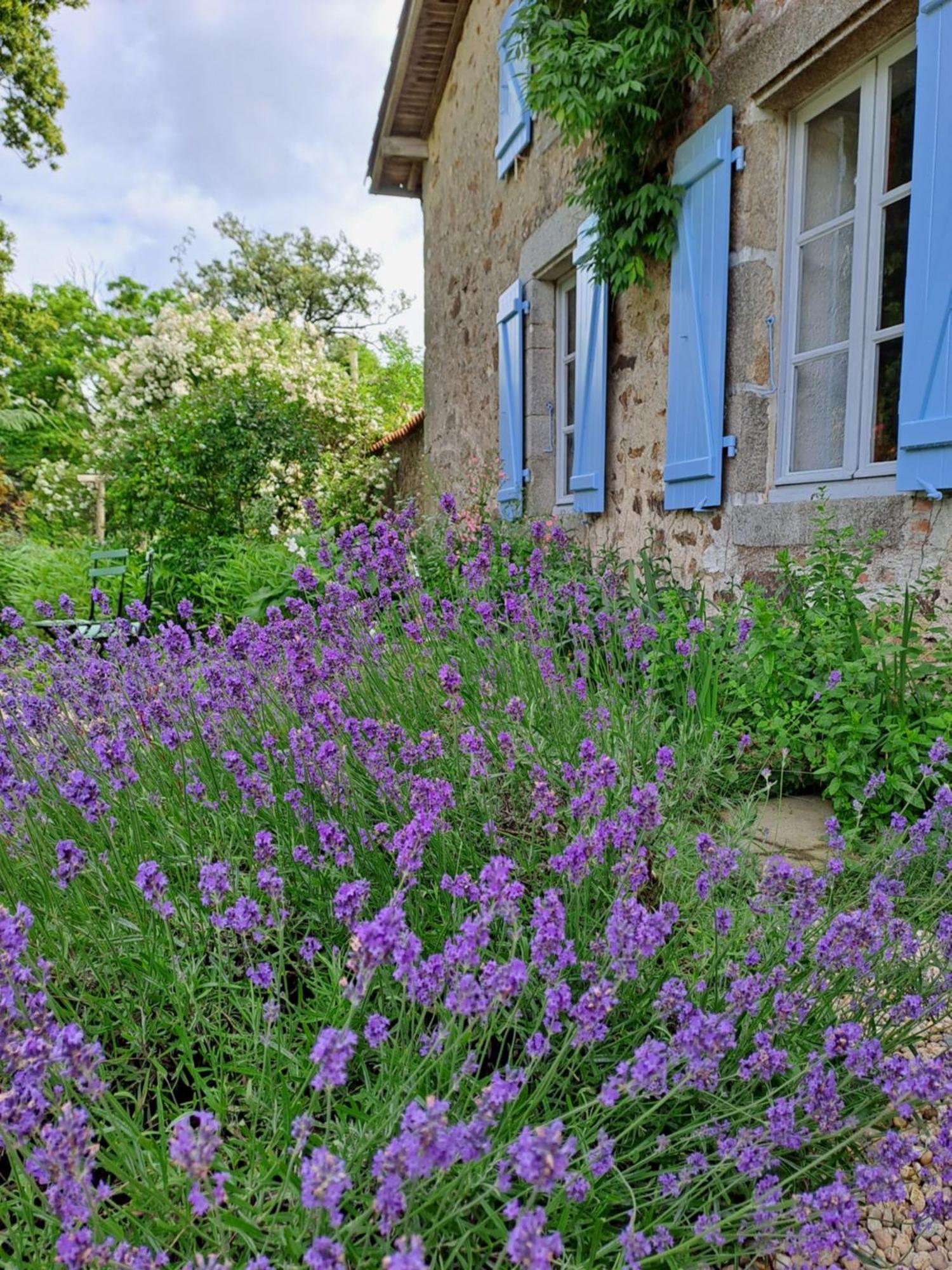 Willa Domaine Des Roches Blanches Le Pin  Zewnętrze zdjęcie