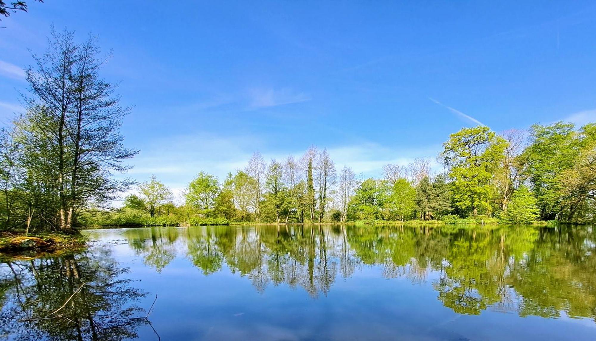 Willa Domaine Des Roches Blanches Le Pin  Zewnętrze zdjęcie