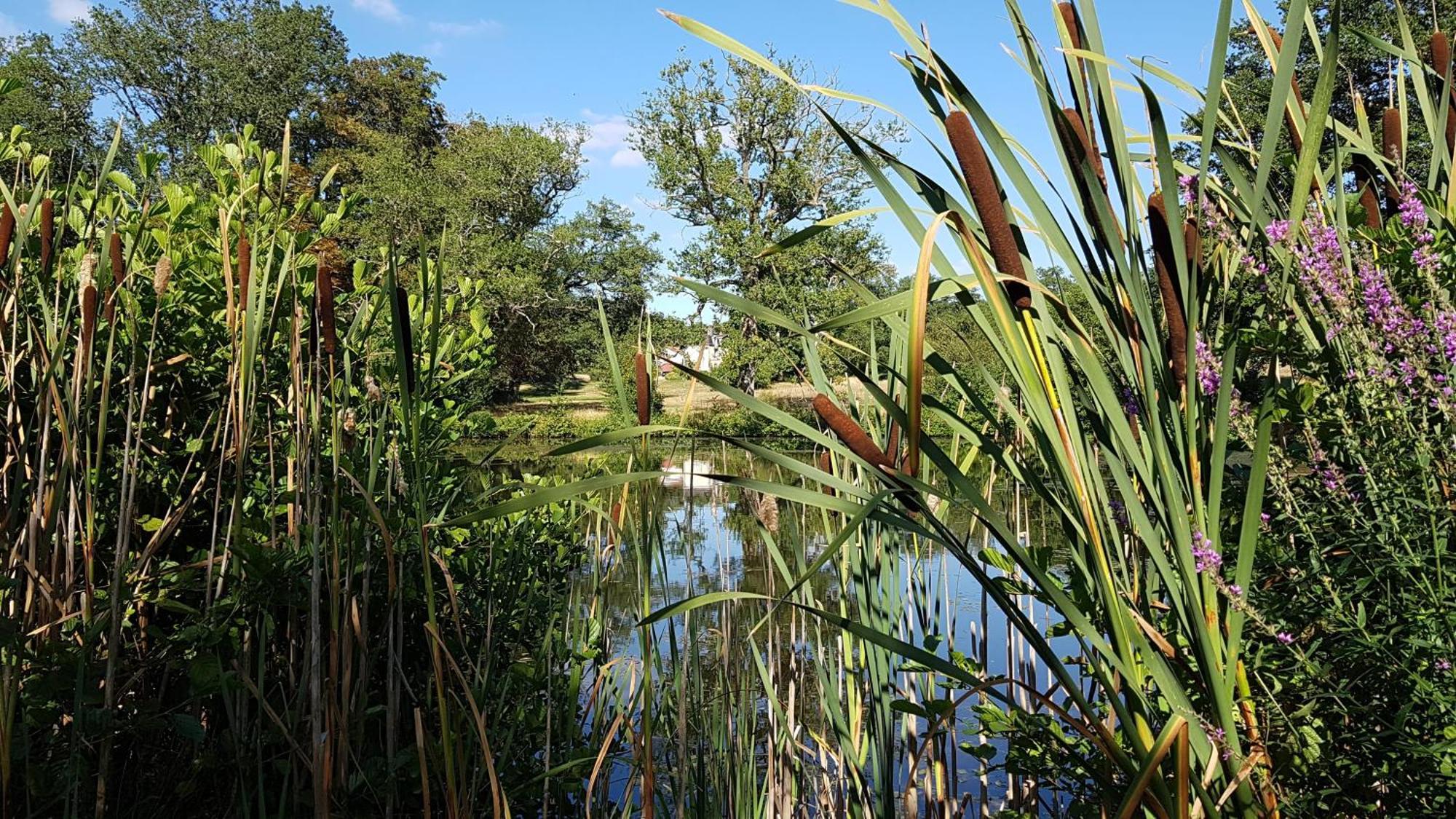 Willa Domaine Des Roches Blanches Le Pin  Zewnętrze zdjęcie